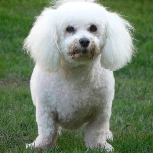 Meet your Posher, Diane